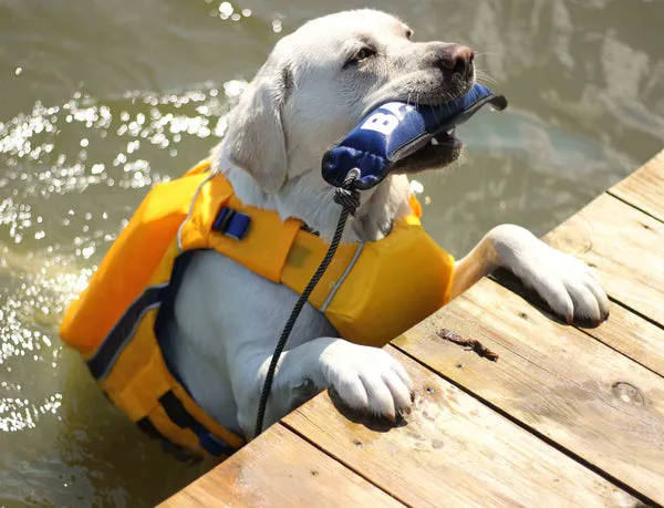 Baydog Monterey Bay Offshore Life Jackets