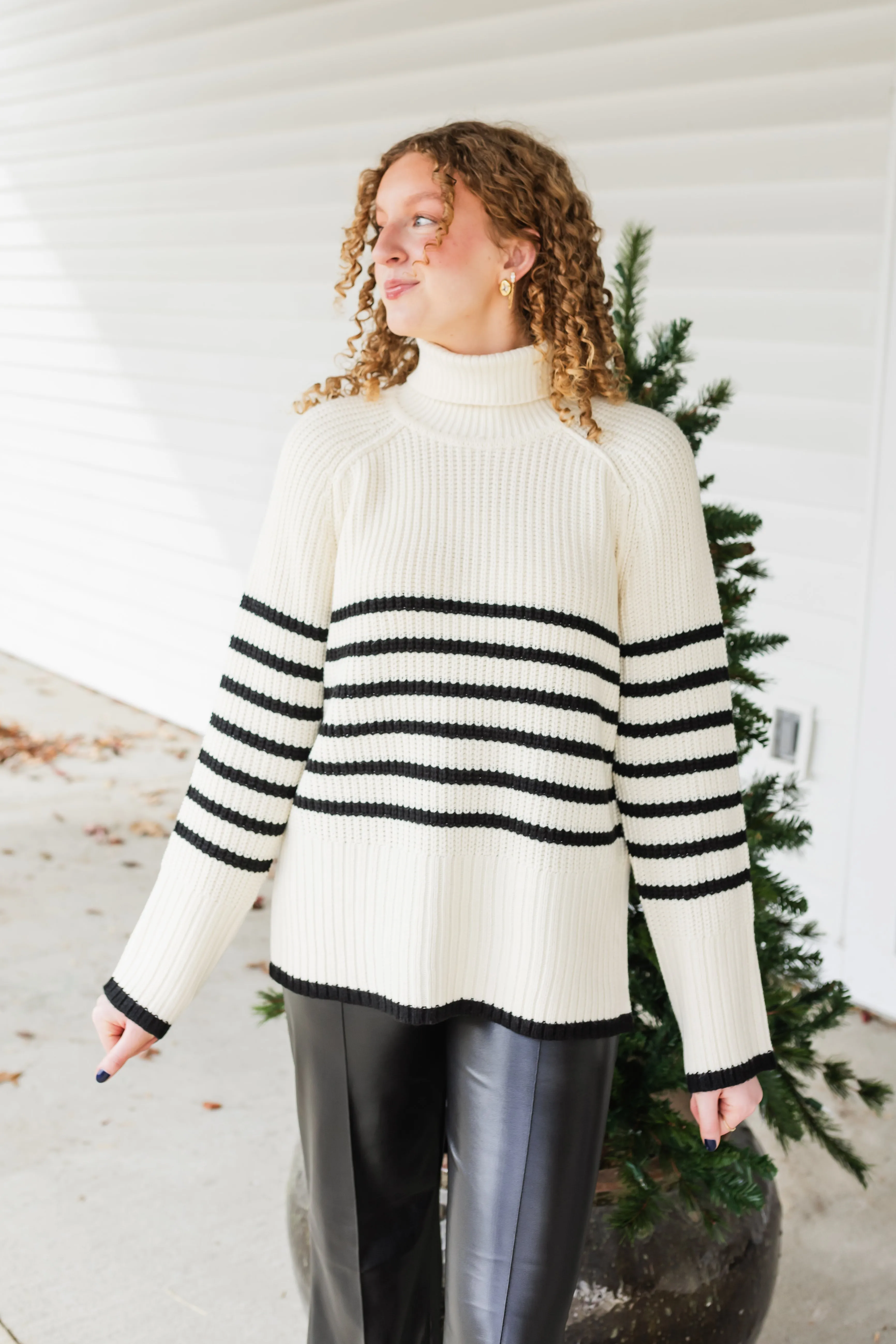 campbell sweater