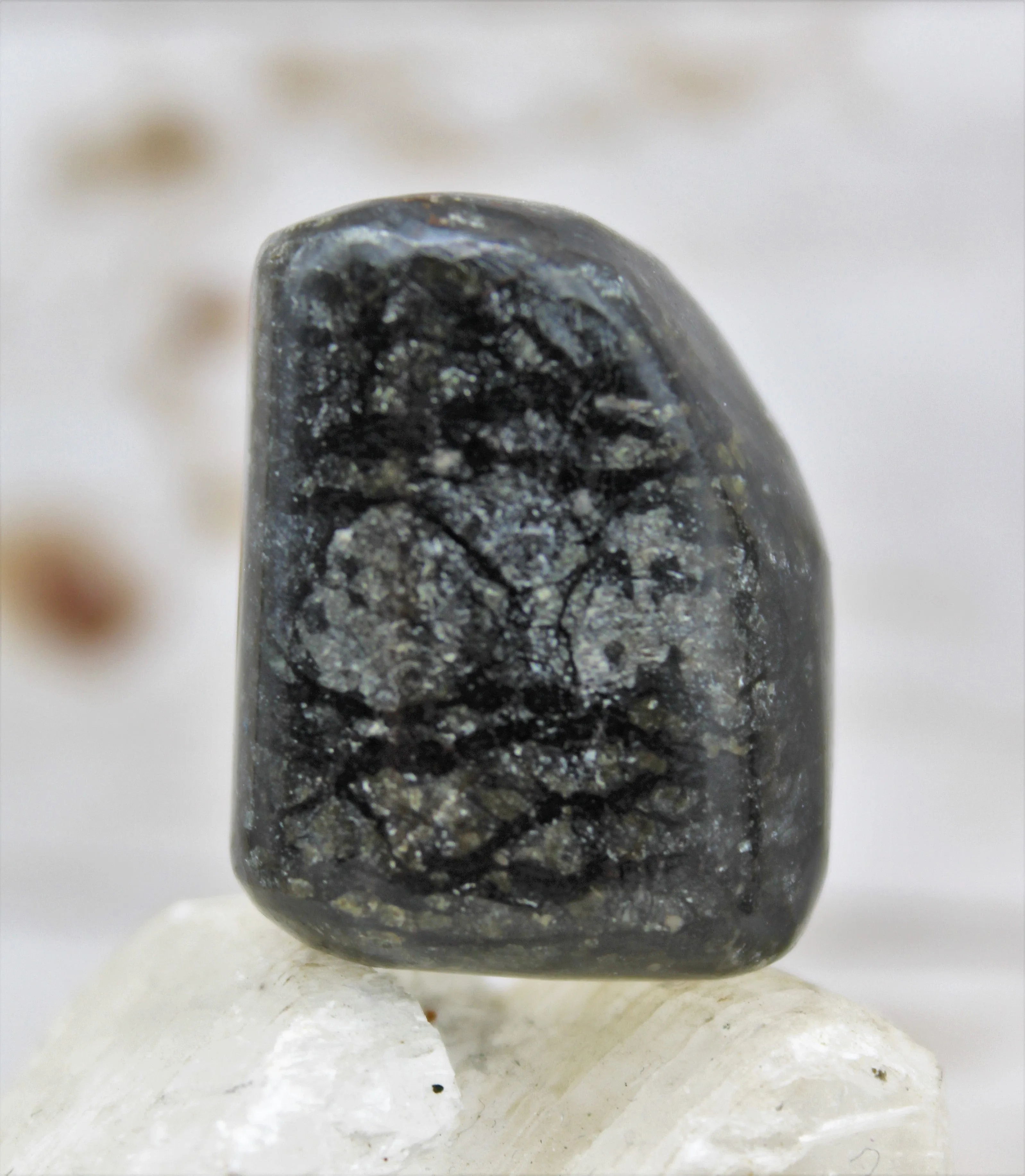 Coppernite Polished Stones