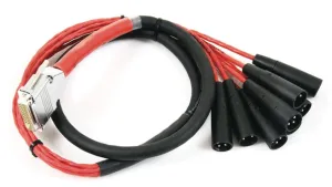 DB25-XLRM DigiSnake 4'