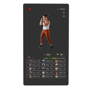 Echelon Reflect 50" Smart Fitness Mirror