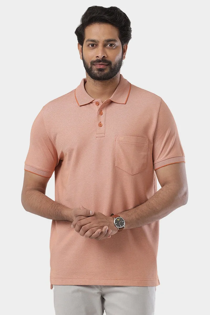 Golf Polo - Collar T-Shirts Pack Of 3 Combo For Men | Ariser