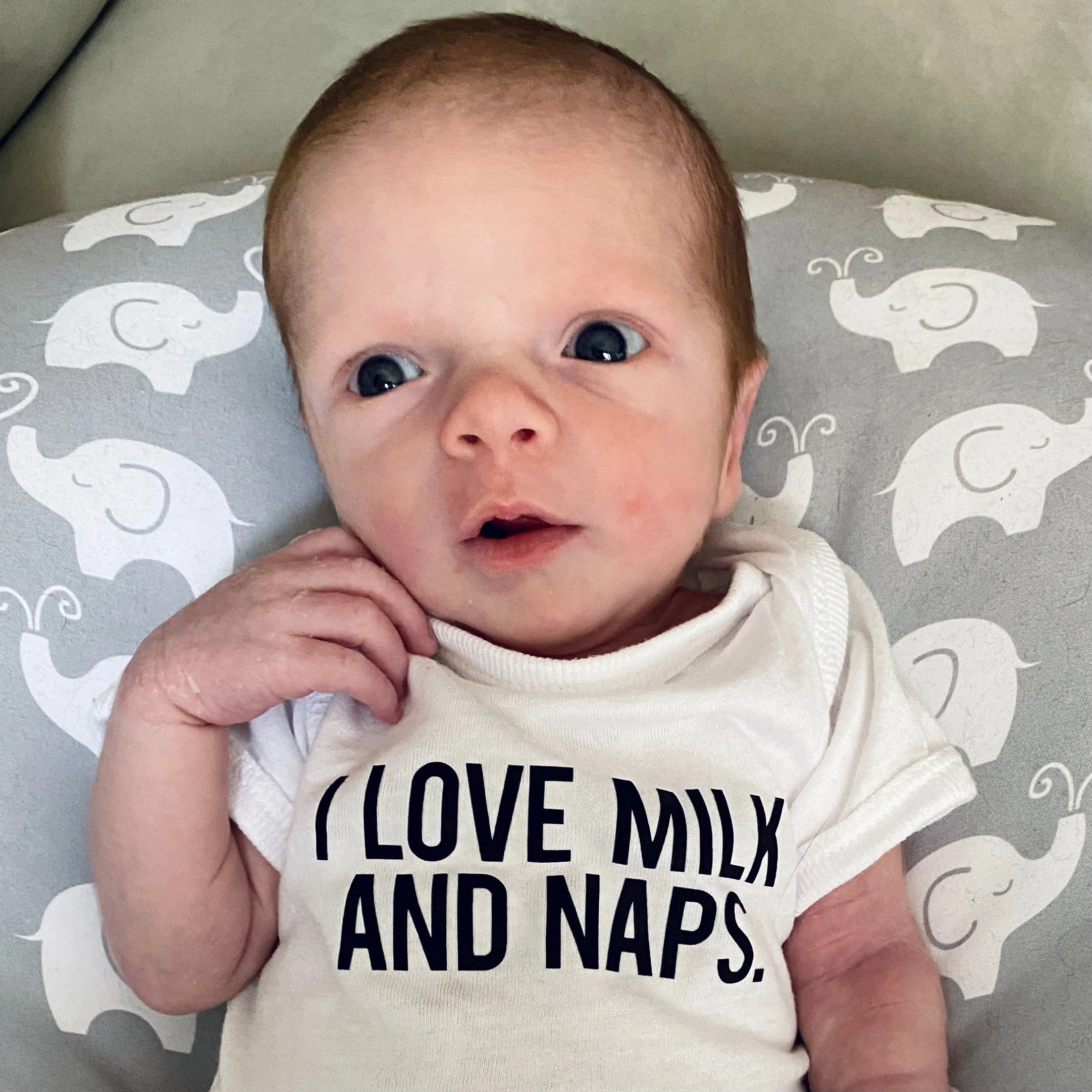 Milk & Naps Onesie (Size: Newborn)