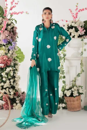Nimra Kashif