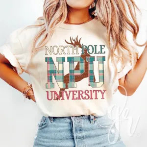 NPU