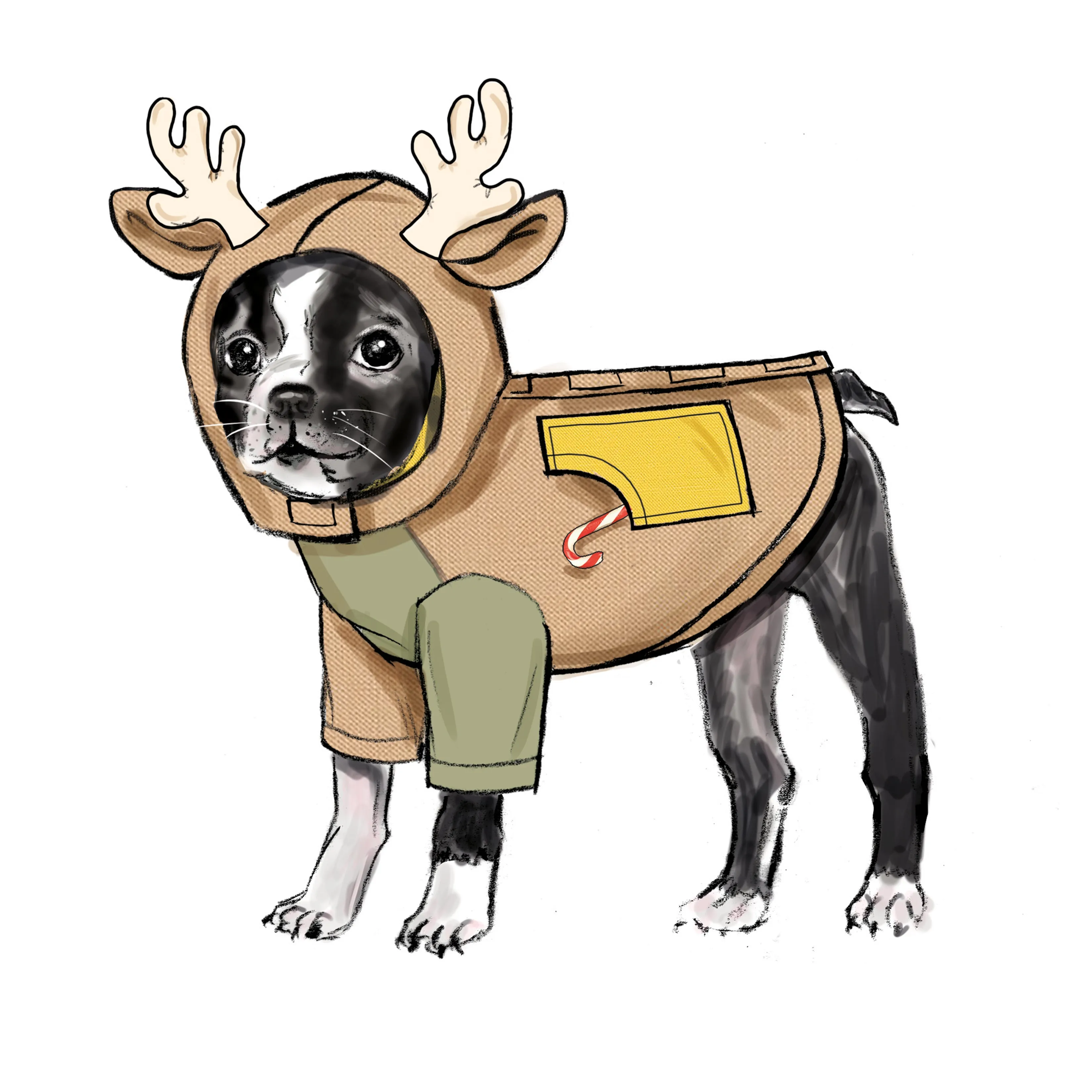 Simplicity Pattern 9663 Pet Coats with Optional Hoods and Cowls in Sizes S-M-L and Adult Cowl