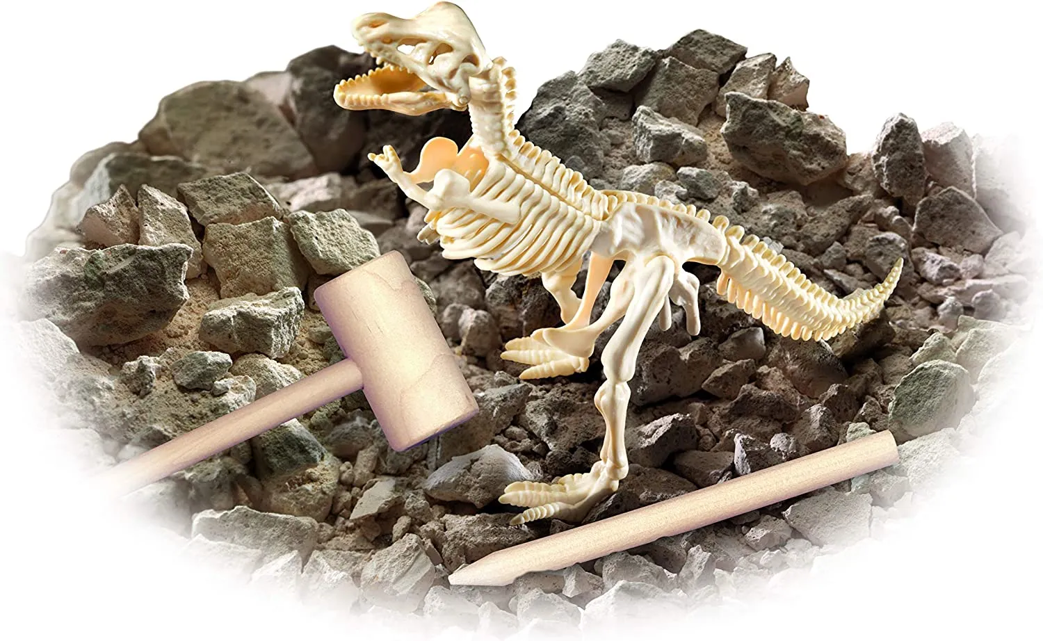 Smithsonian Science Kits – Diggin Up Dinosaurs – T-Rex