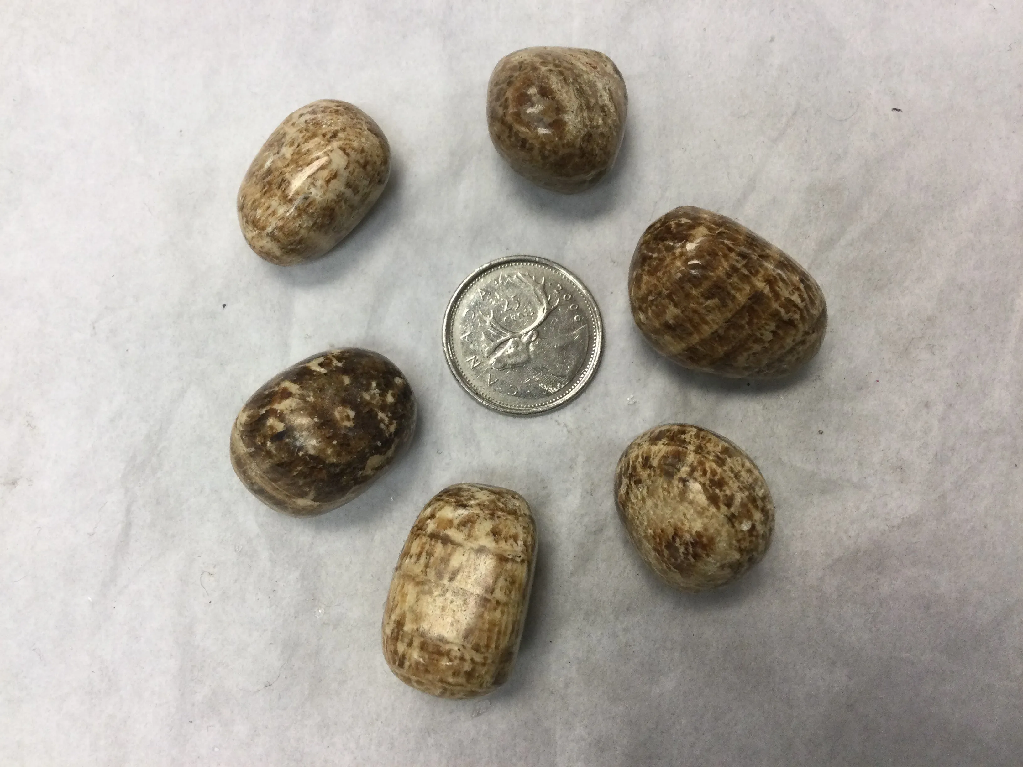 Tumbled Brown Aragonite