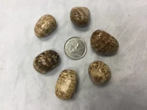 Tumbled Brown Aragonite